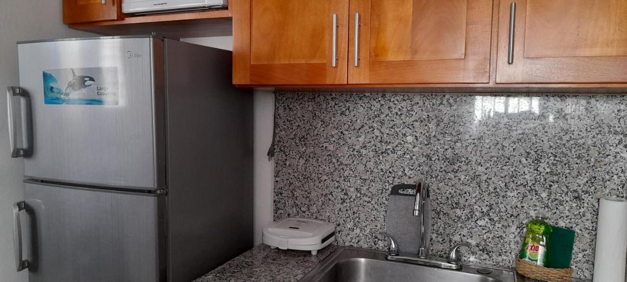 サンティアゴ・デ・ロス・カバリェロスResidencial Palmas De Guraboアパートメント エクステリア 写真