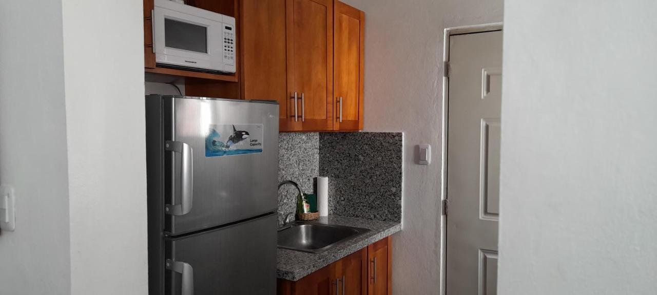 サンティアゴ・デ・ロス・カバリェロスResidencial Palmas De Guraboアパートメント エクステリア 写真