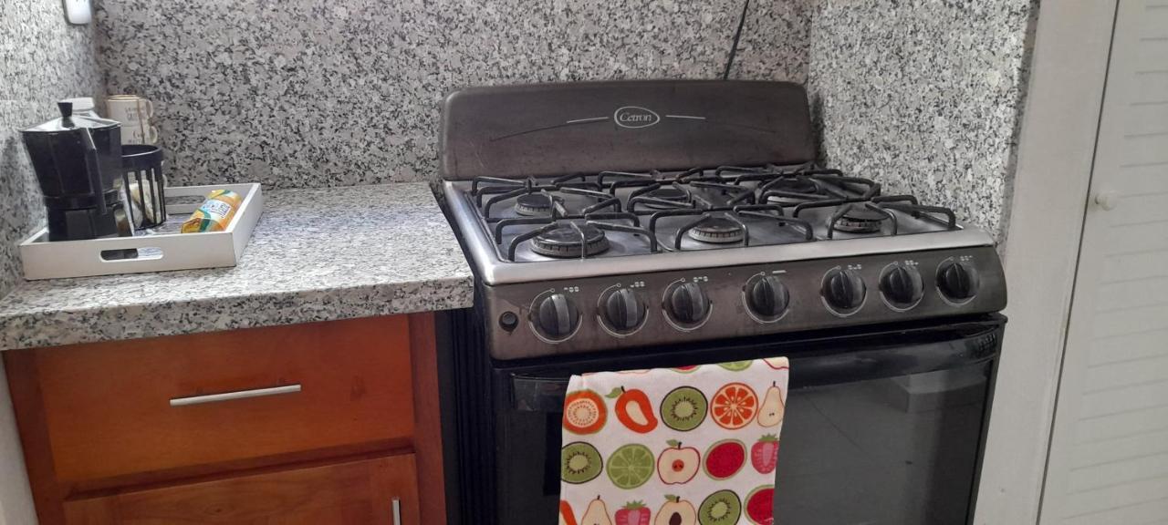 サンティアゴ・デ・ロス・カバリェロスResidencial Palmas De Guraboアパートメント エクステリア 写真
